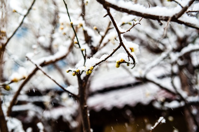 滑雪季的到