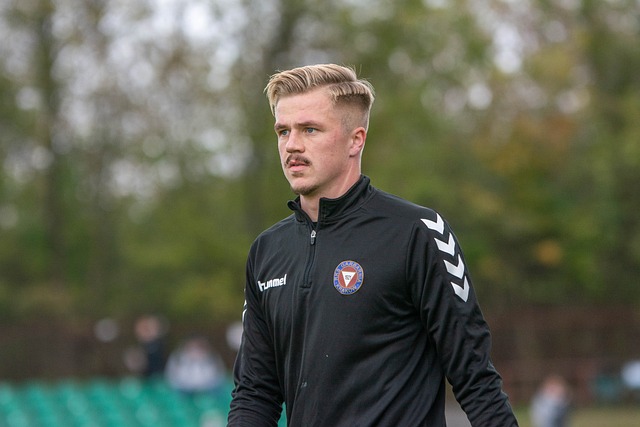 外援阵容对 外援阵容对