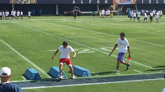 以抵御来自 以抵御来自