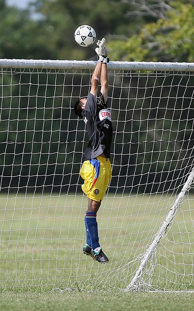 在意甲联赛 在意甲联赛