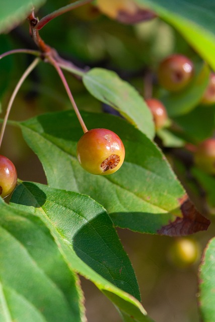 了他对为中 了他对为中