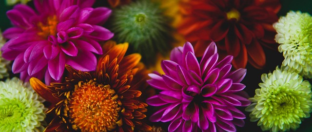 推向高潮 推向高潮