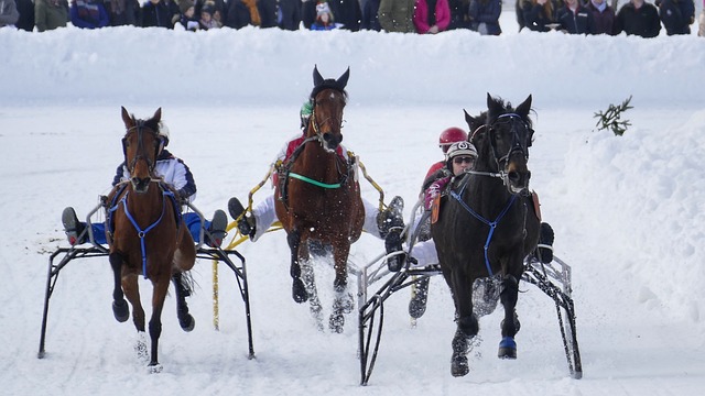 特别值得一 特别值得一