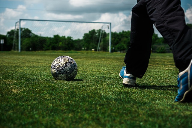 旨在让观赛 旨在让观赛