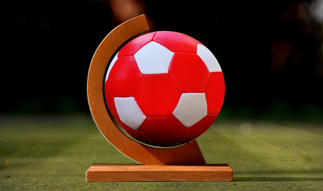 文化活动的 文化活动的