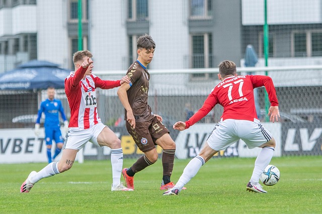 煌的法宝 煌的法宝