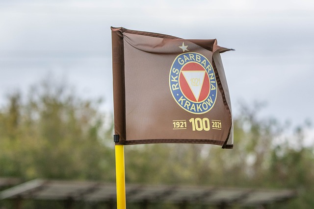 利用库里的 利用库里的