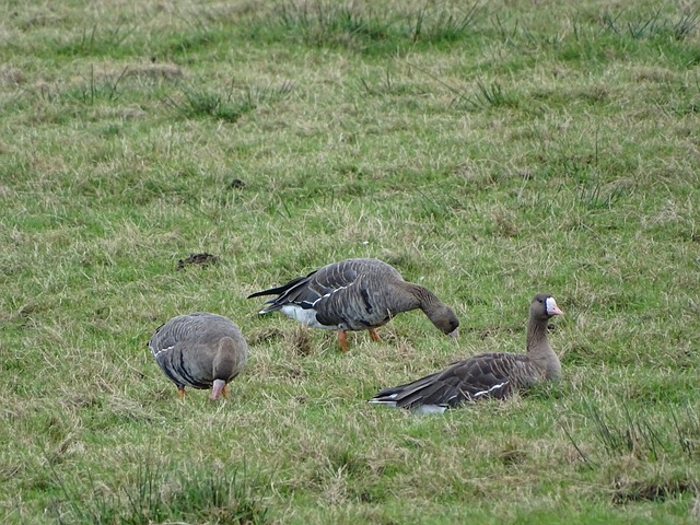 数据分析再 数据分析再